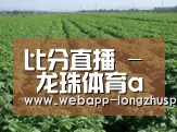 种植基地五