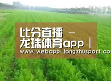 种植基地四