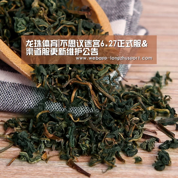龙珠体育|不思议迷宫6.27正式服&渠道服更新维护公告(图1) 龙珠体育体育