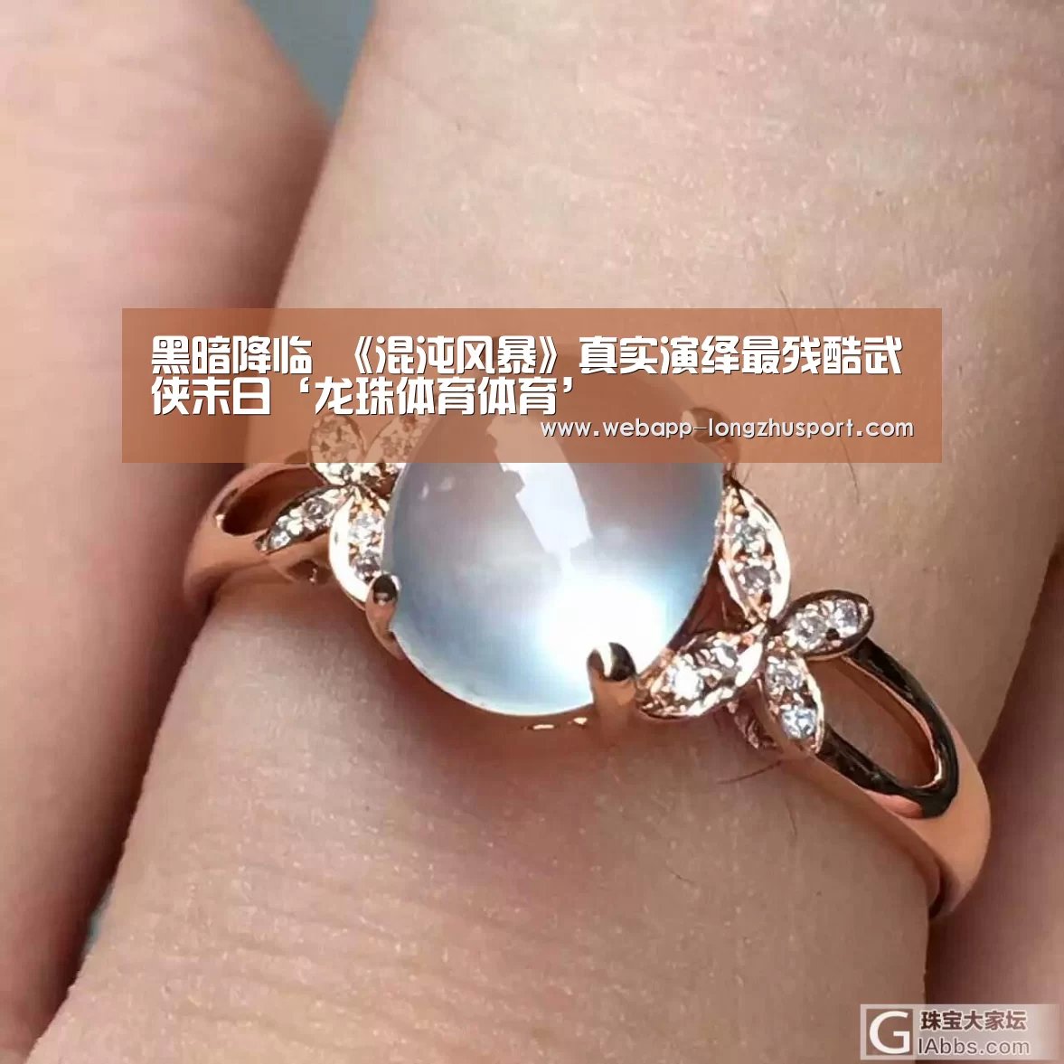 龙珠体育
