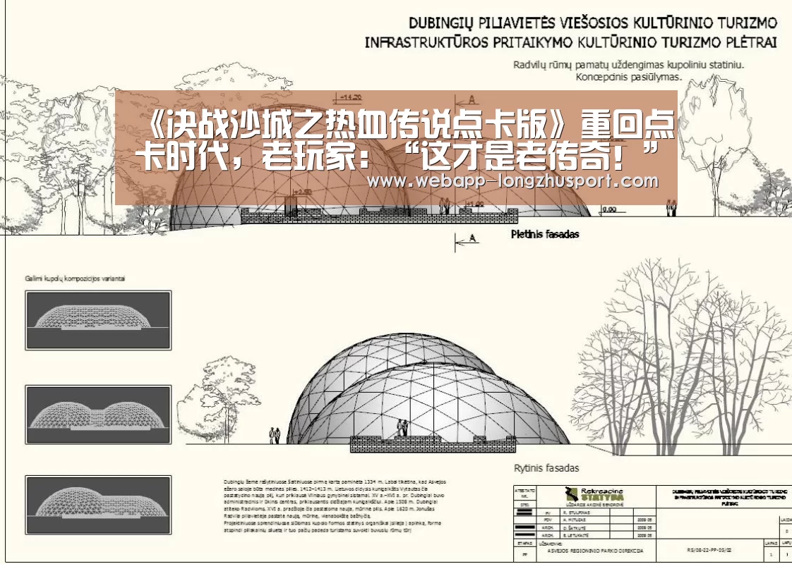 龙珠体育体育