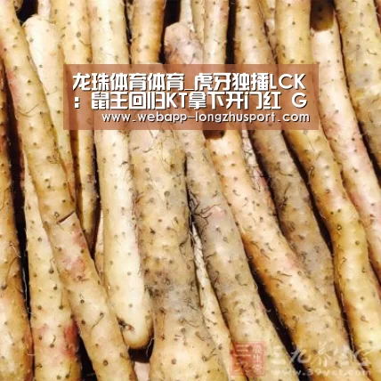 龙珠体育