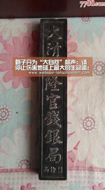 龙珠体育