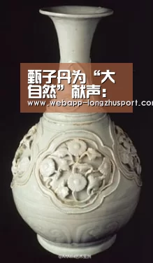 龙珠体育体育
