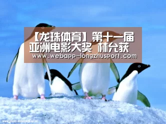 龙珠体育体育