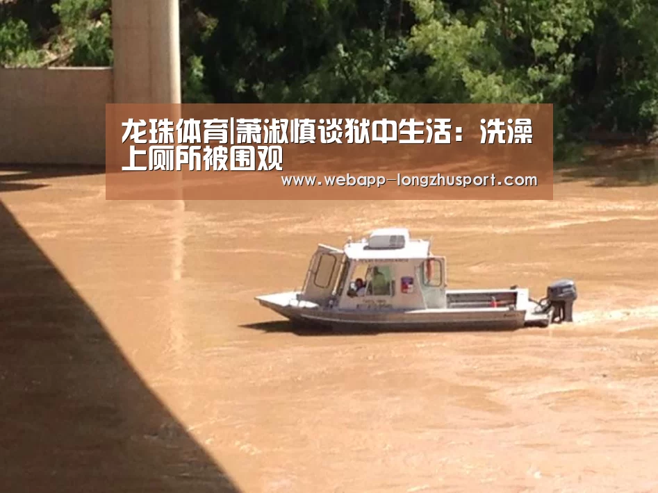 龙珠体育体育