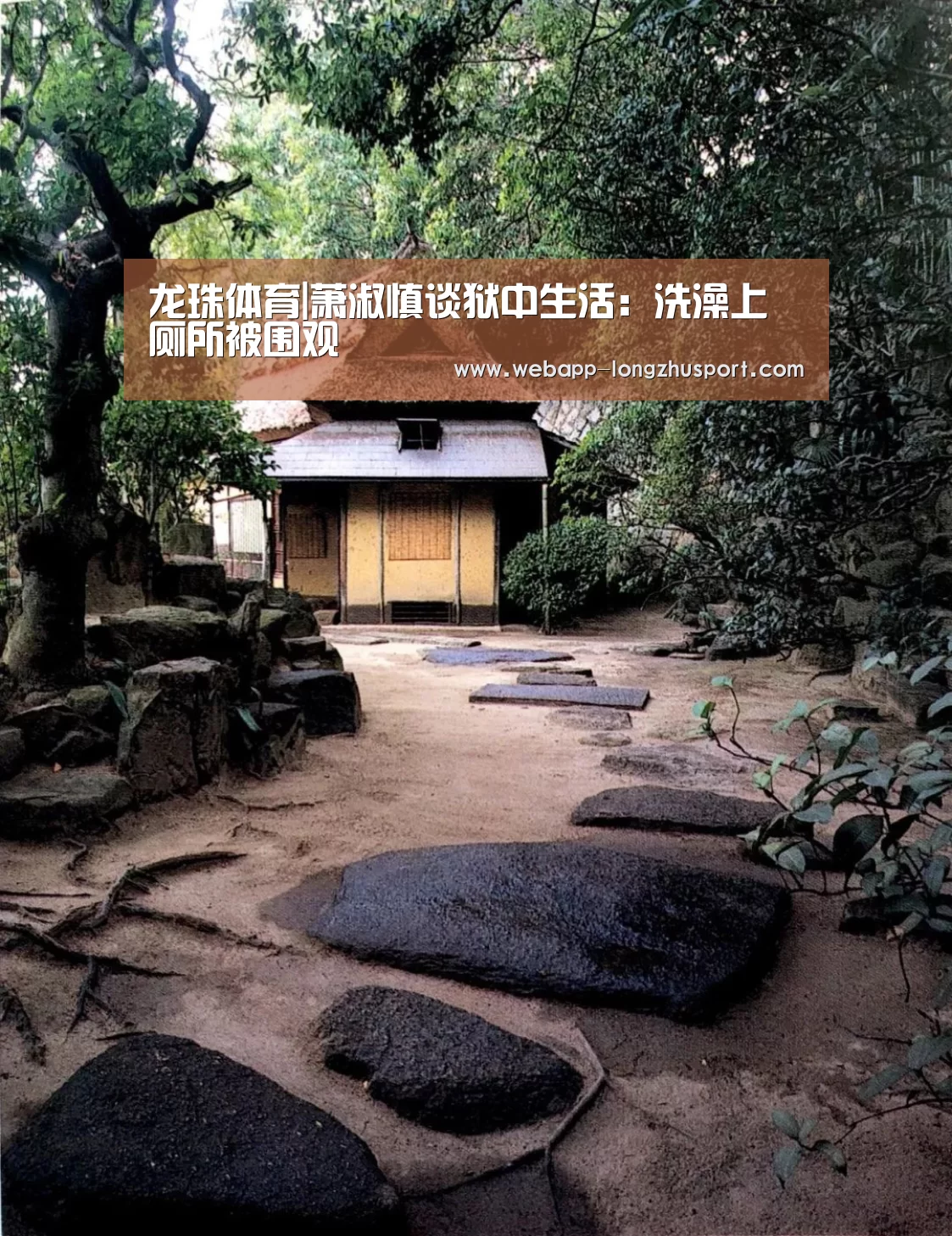 龙珠体育体育