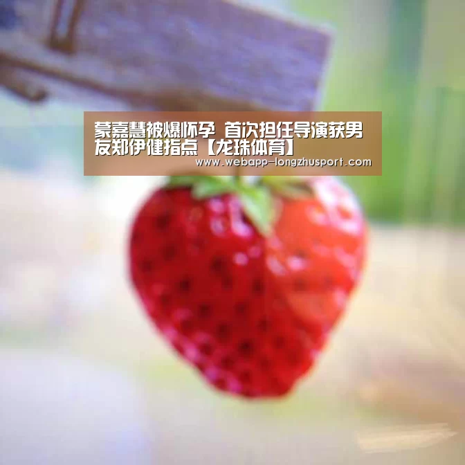 龙珠体育