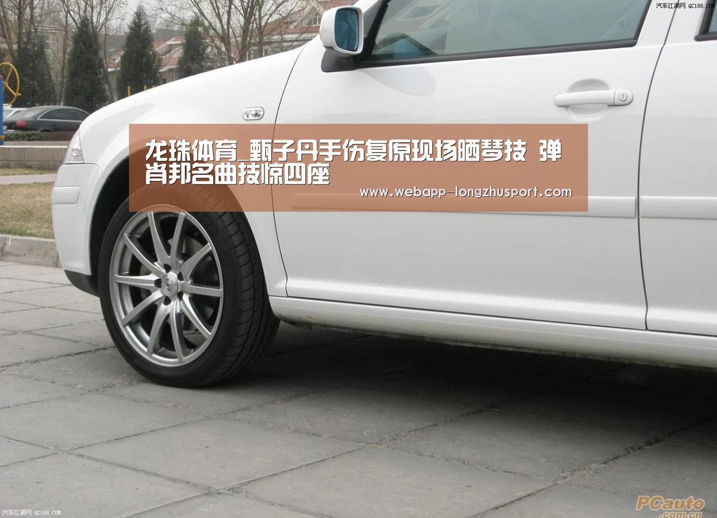 龙珠体育_甄子丹手伤复原现场晒琴技 弹肖邦名曲技惊四座(图4) 龙珠体育