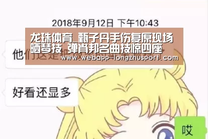 龙珠体育_甄子丹手伤复原现场晒琴技 弹肖邦名曲技惊四座(图3) 龙珠体育体育