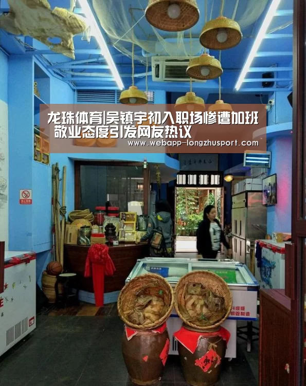 龙珠体育