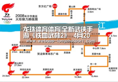龙珠体育体育