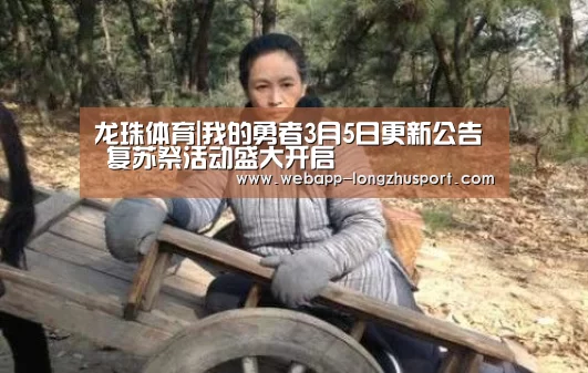 龙珠体育体育