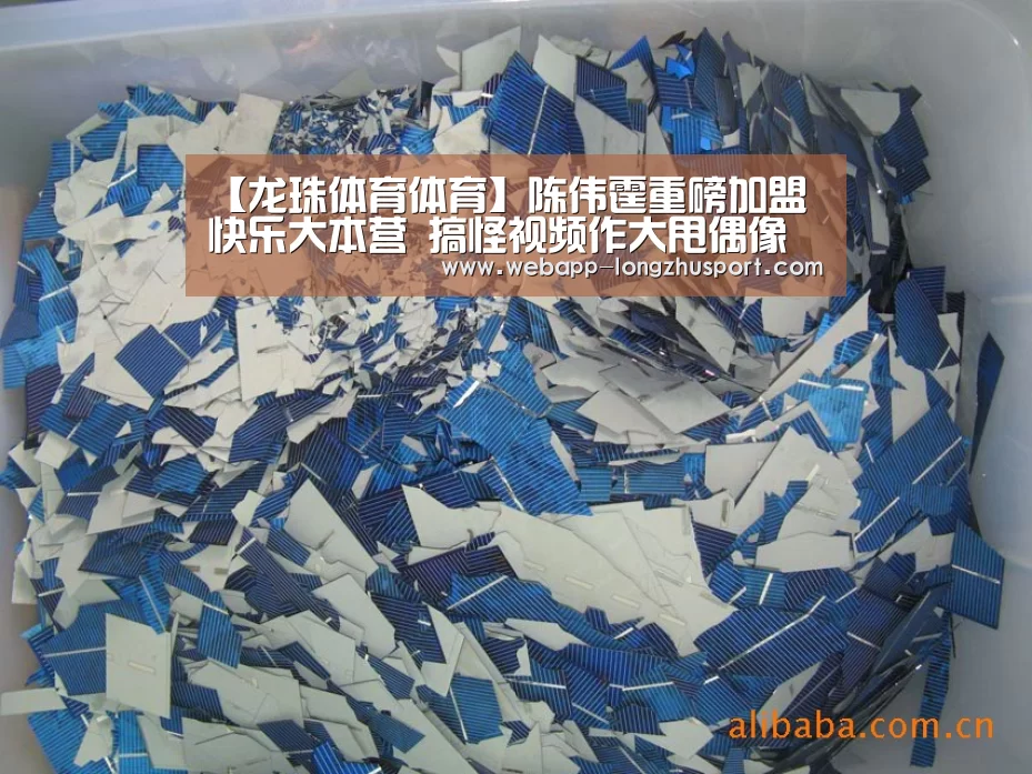 龙珠体育