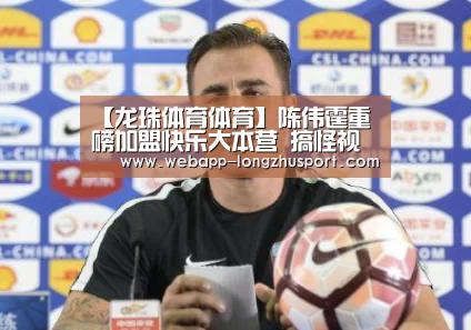 龙珠体育体育