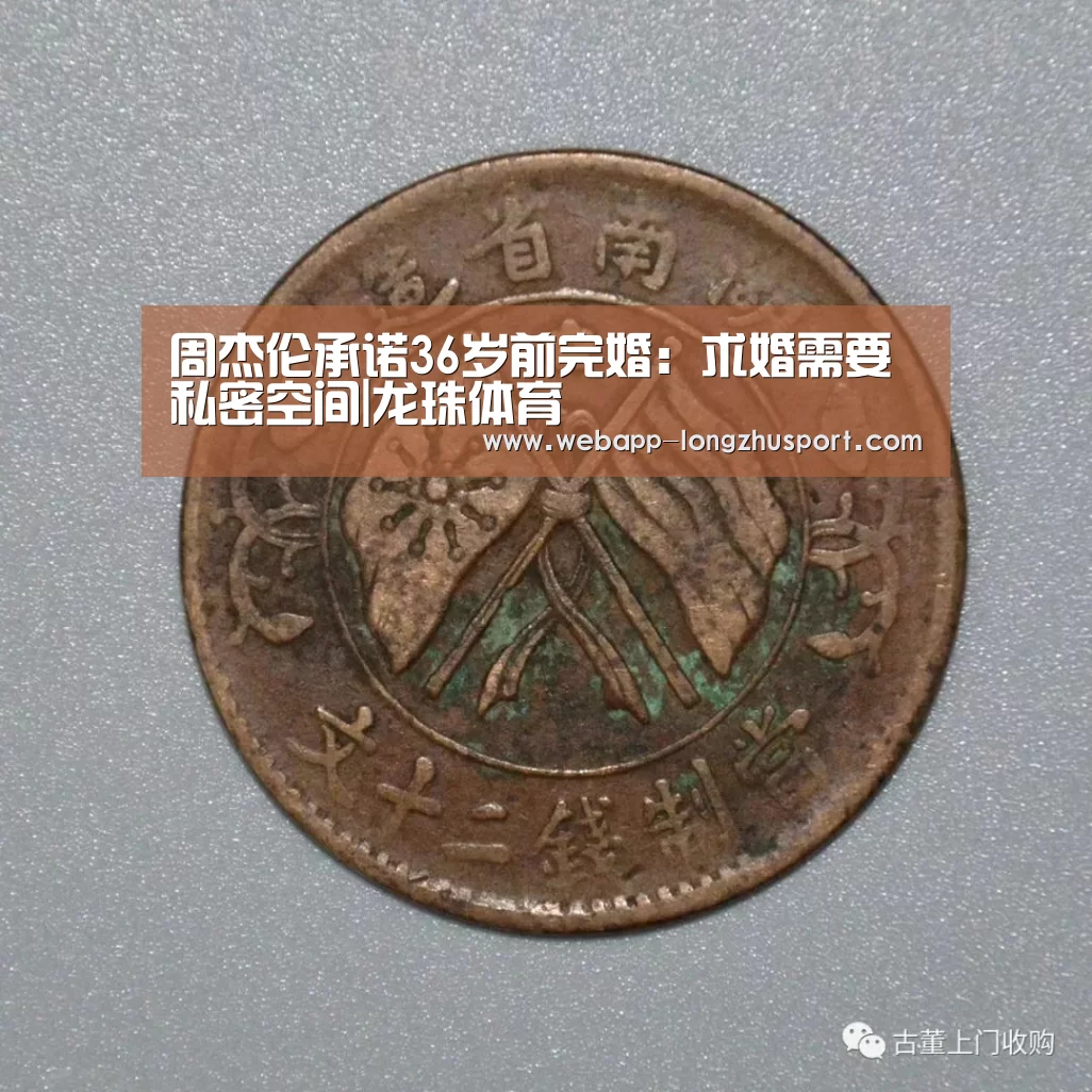 龙珠体育体育