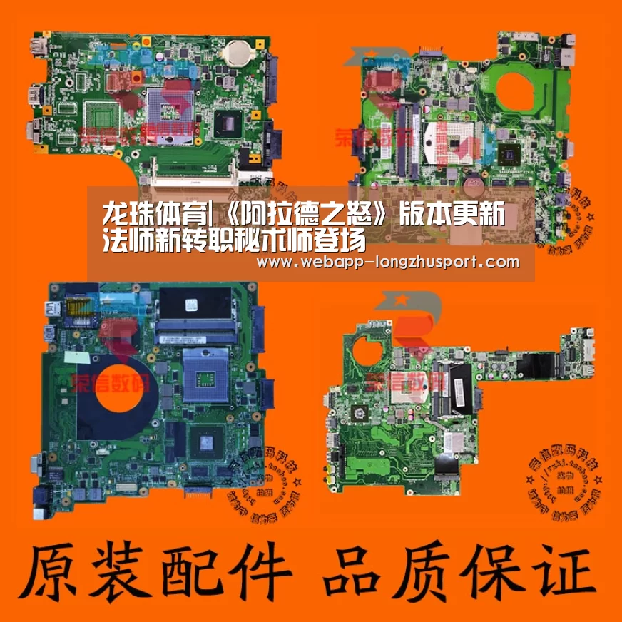 龙珠体育