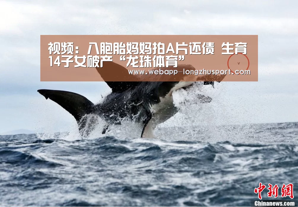 龙珠体育体育