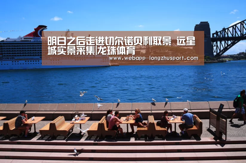 龙珠体育体育