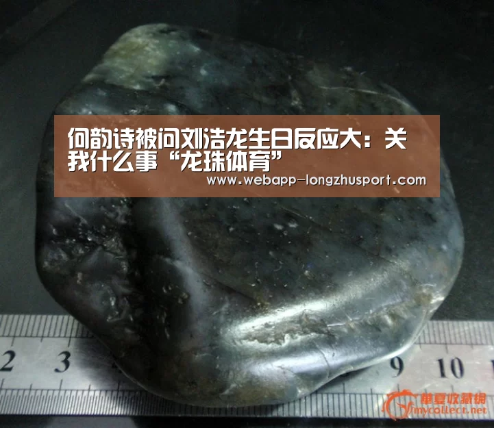 龙珠体育体育