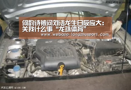 龙珠体育体育