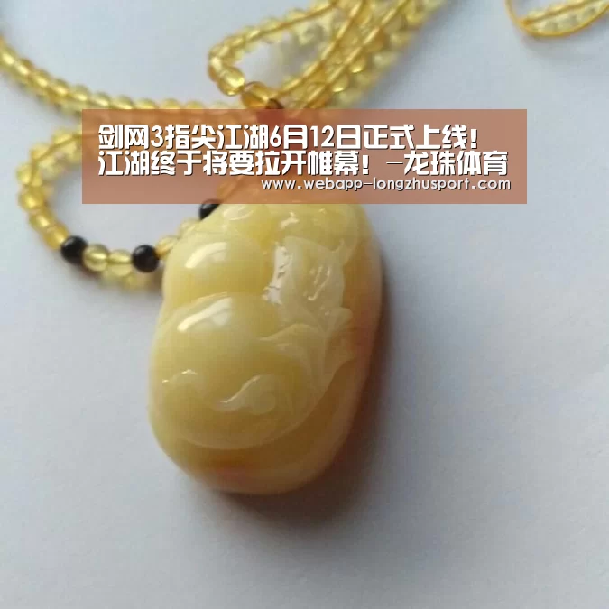 龙珠体育