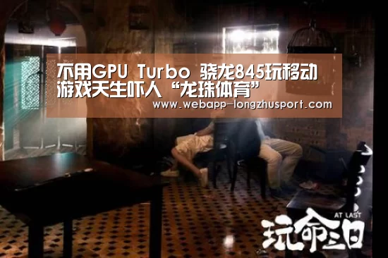 龙珠体育体育