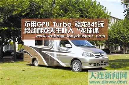 龙珠体育体育