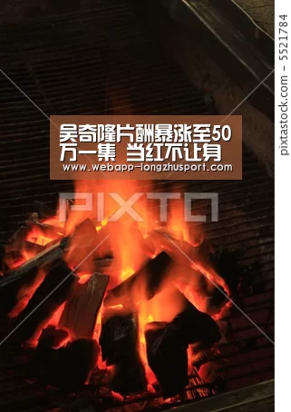 龙珠体育体育