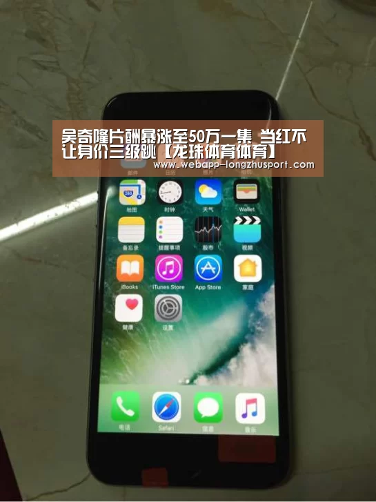 龙珠体育