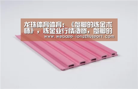龙珠体育