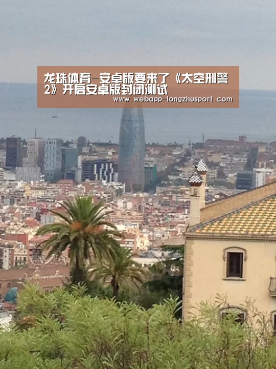 龙珠体育