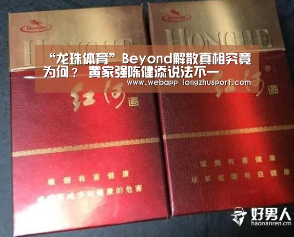 龙珠体育体育